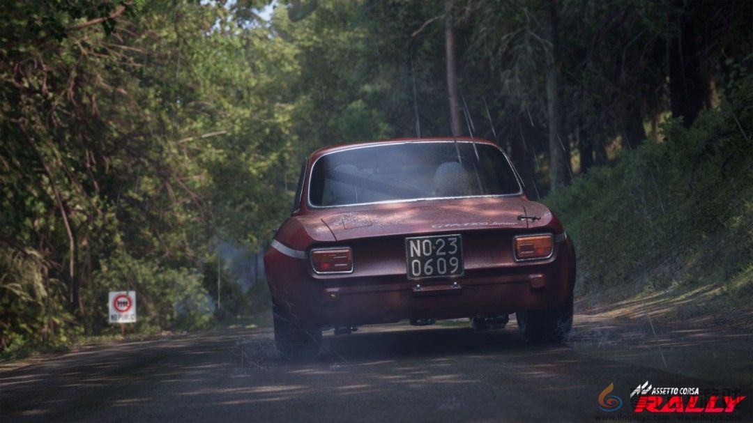 《神力科莎：拉力》Steam抢先体验开启 专业级拉力赛体验(图3)