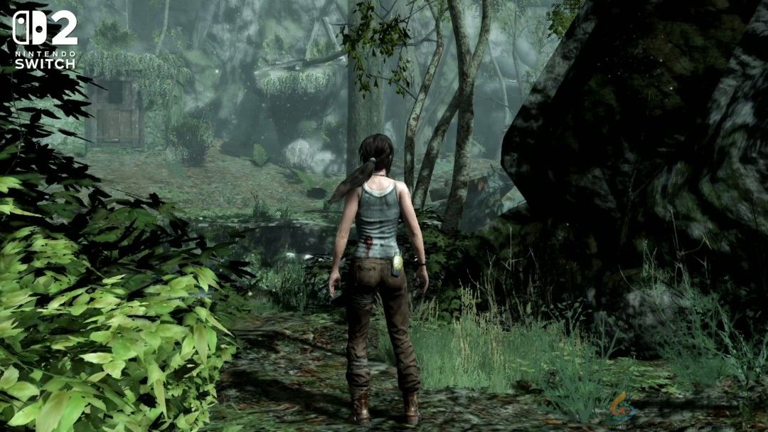 《古墓丽影9》NS2版画面大缩水 甚至不如PS3原版(图6)